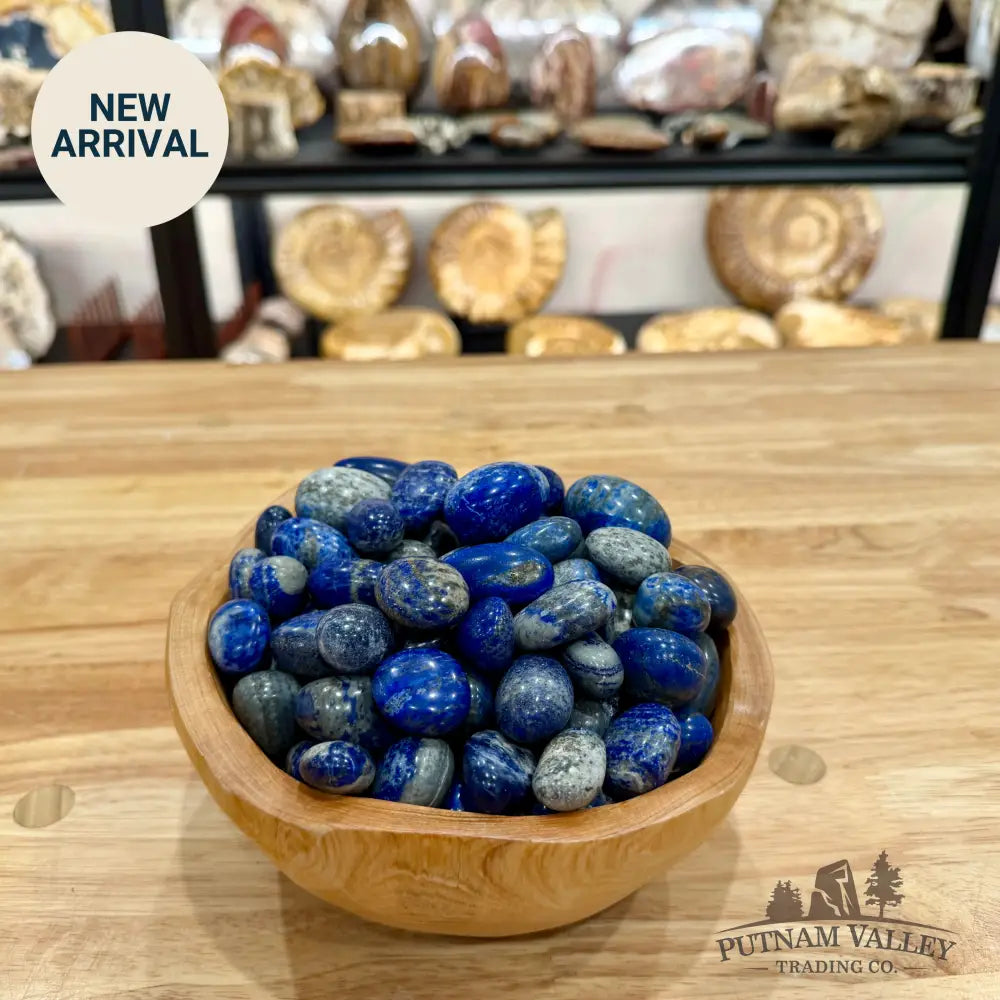 Tumbled Lapis Lazuli (½ lb) Tumbled Stone