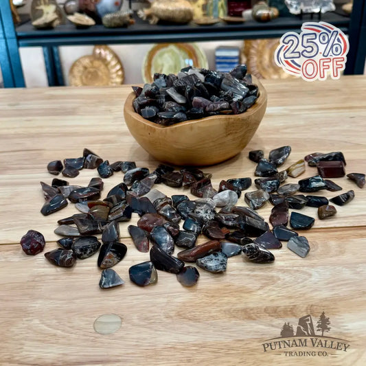 Tumbled Madagascar Petrified Wood (½ lb) | Freeform - Tumbled Stone