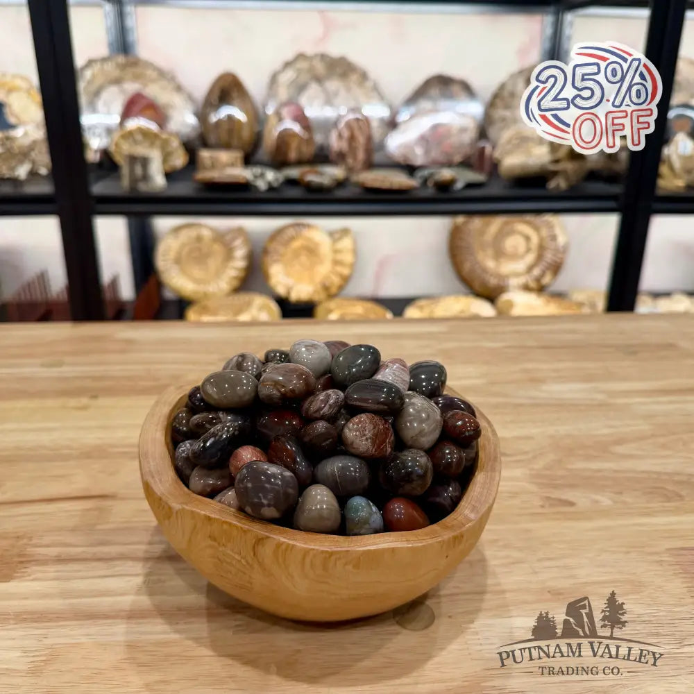 Tumbled Madagascar Petrified Wood (½ lb) Tumbled Stone