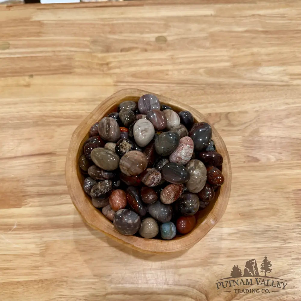 Tumbled Madagascar Petrified Wood (½ lb) Tumbled Stone