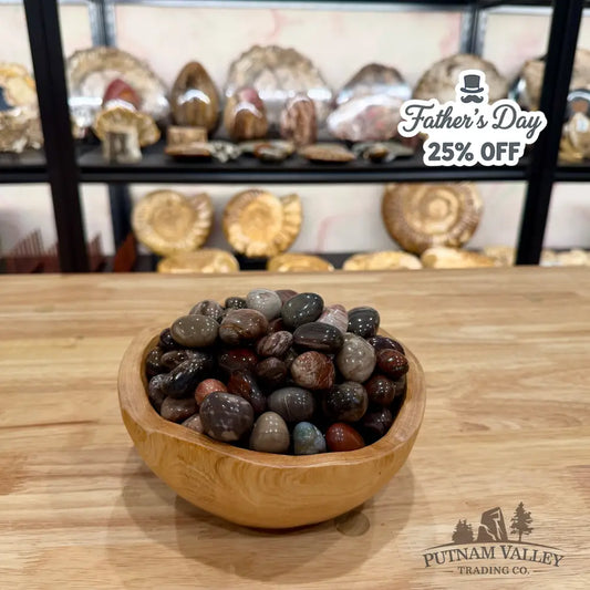 Tumbled Madagascar Petrified Wood (½ lb) Tumbled Stone