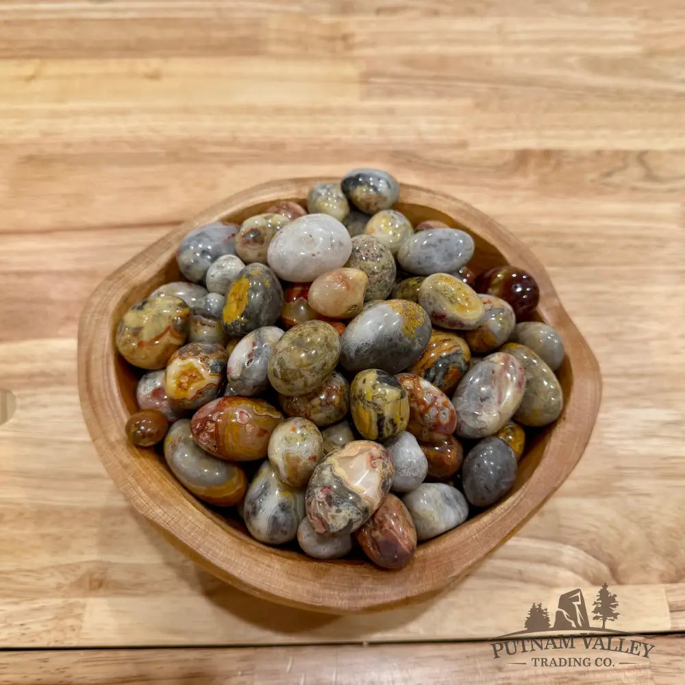 Tumbled Crazy Lace Agate (½ lb) Tumbled Stone