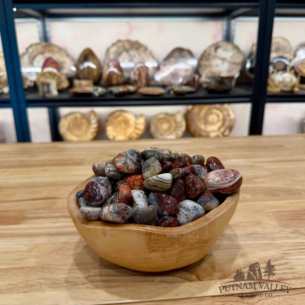 Tumbled Mexican Lace Agate (½ lb) Tumbled Stone