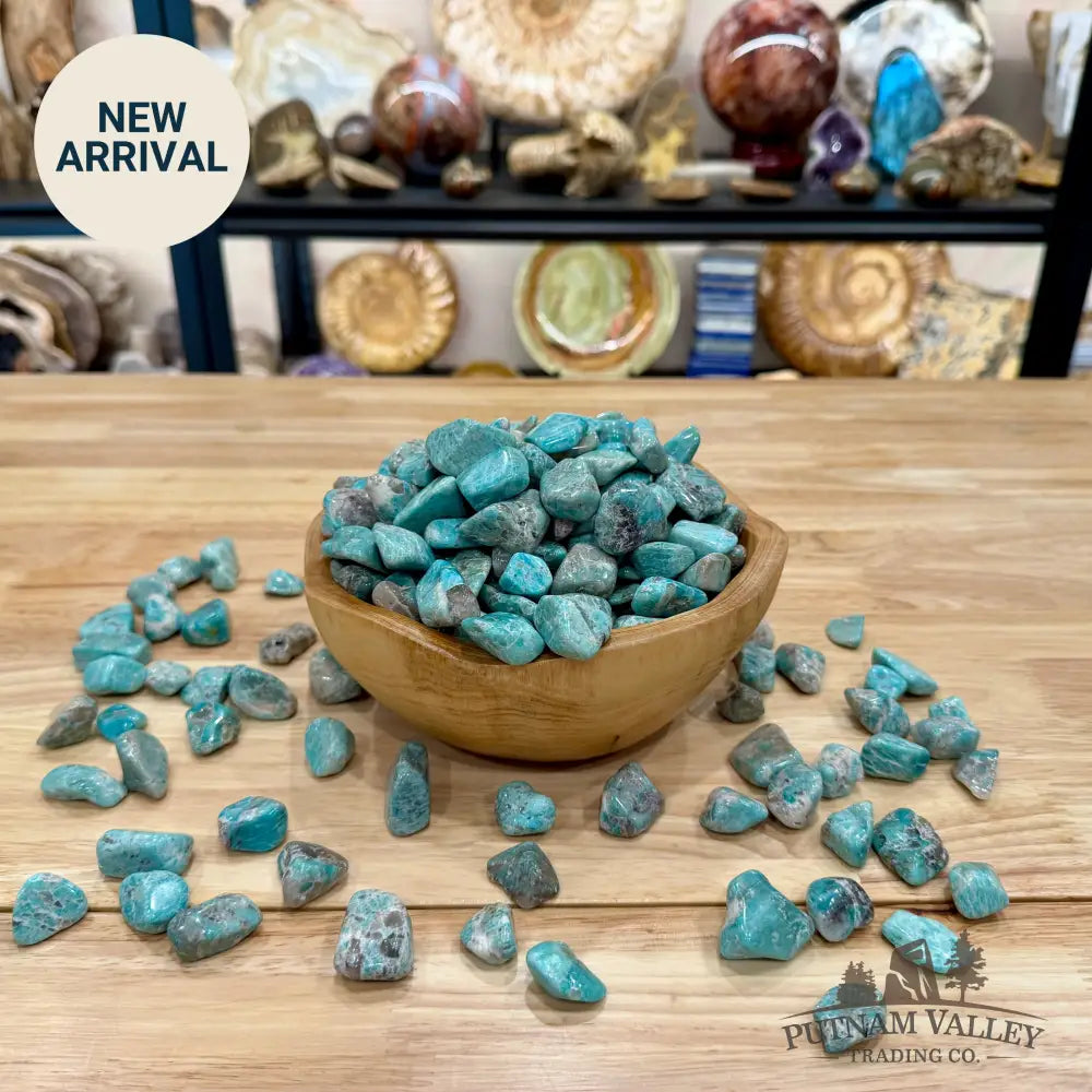 Tumbled Mozambique Amazonite (½ lb) - Tumbled Stone