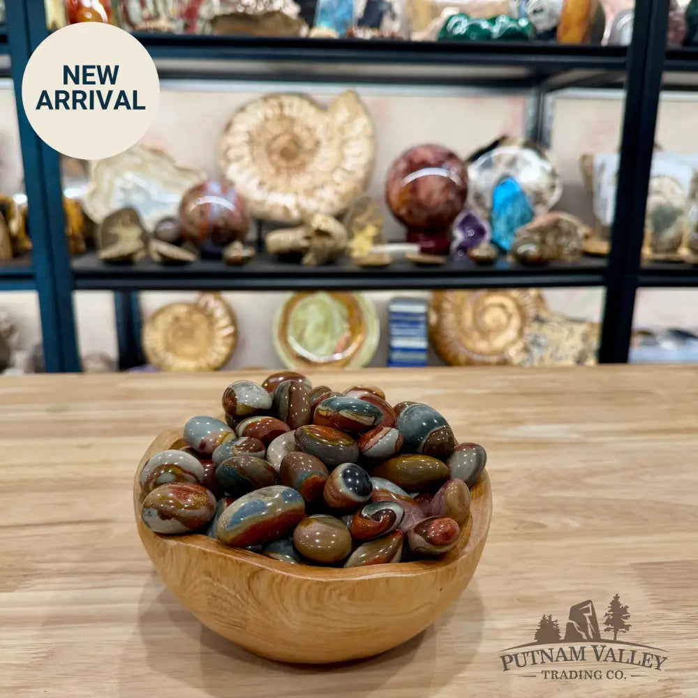 Tumbled Polychrome Jasper (½ lb) - Tumbled Stone