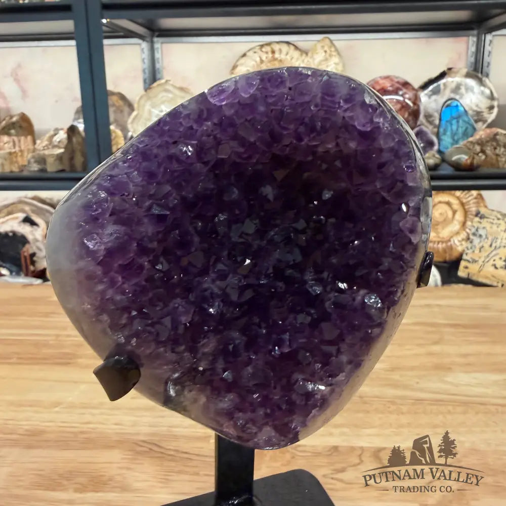 Amethyst Geode + Stand 8.5’’ - Accent