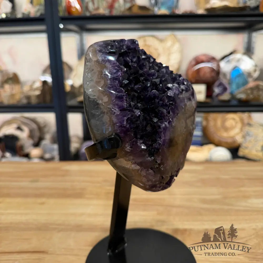 Amethyst with Stalactite + Stand 10’’ - Accent