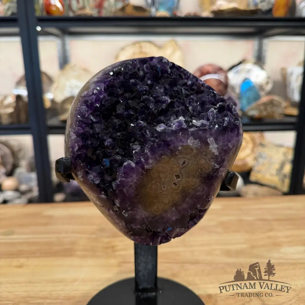 Amethyst with Stalactite + Stand 10’’ - Accent