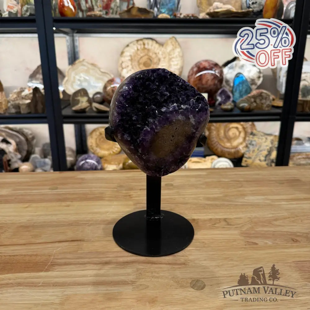 Amethyst with Stalactite + Stand 10’’ - Accent