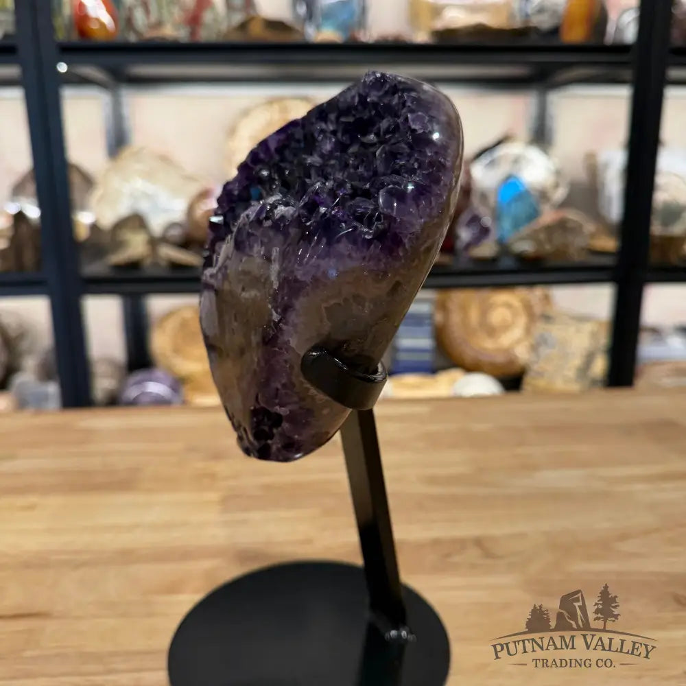 Amethyst with Stalactite + Stand 10’’ - Accent