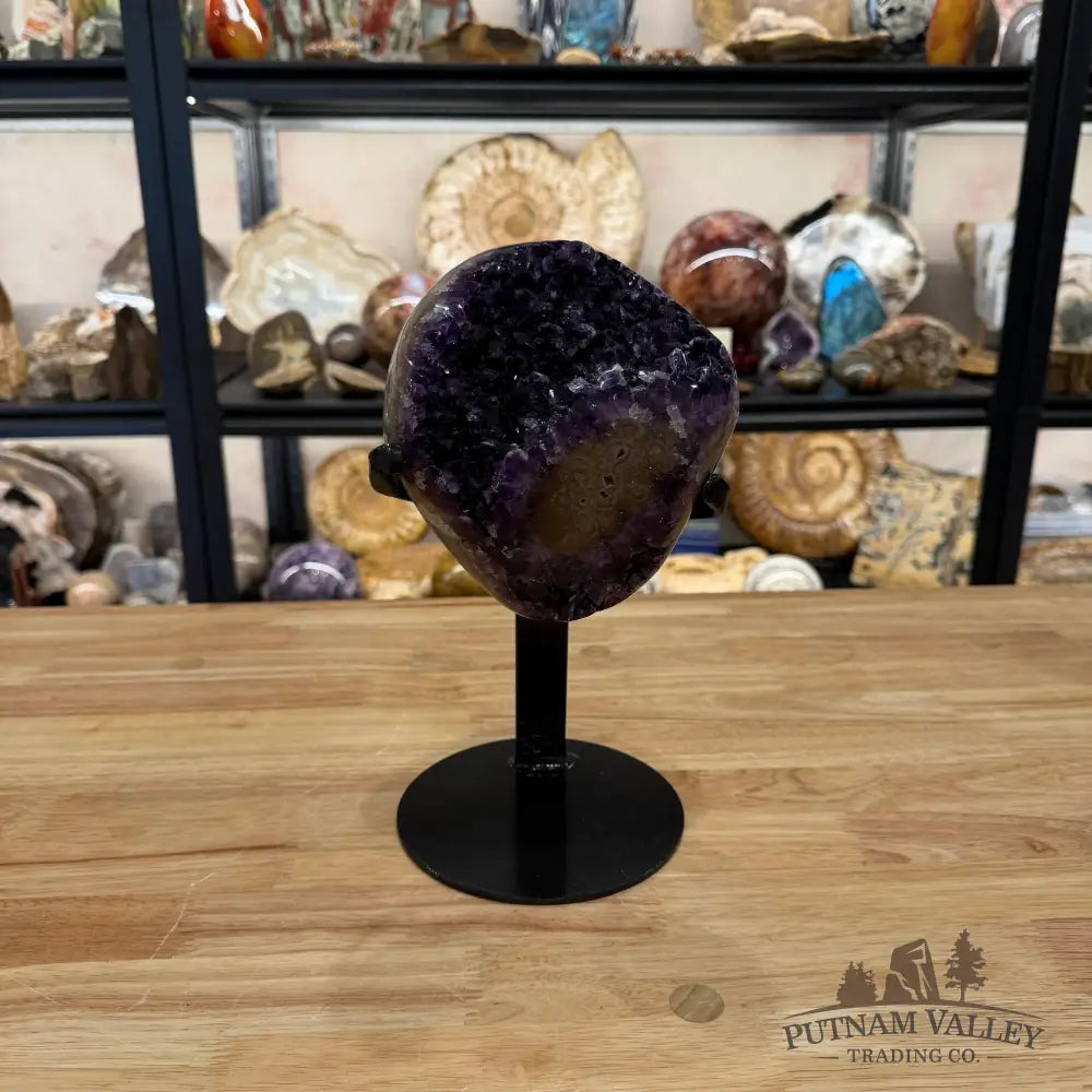 Amethyst with Stalactite + Stand 10’’ - Accent