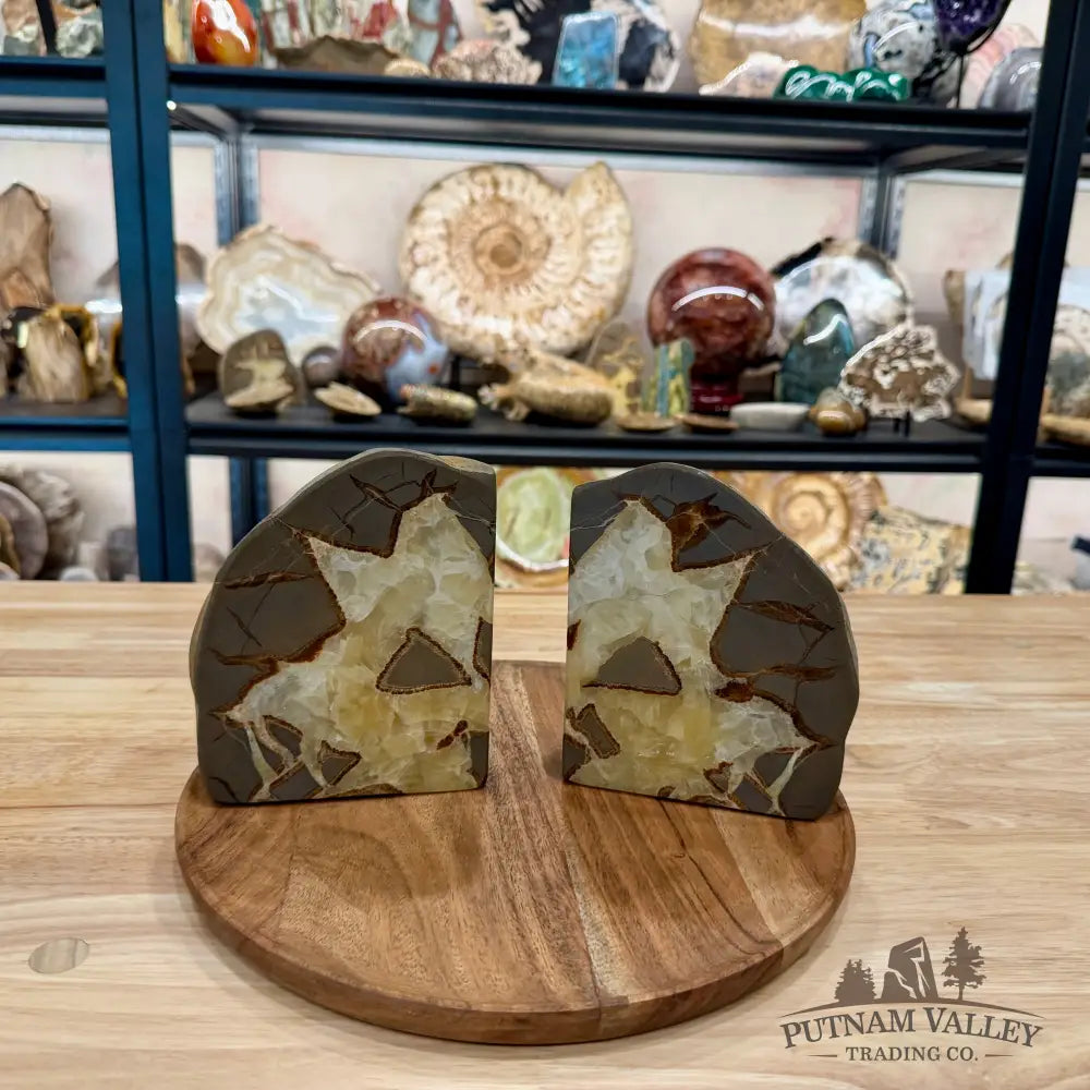 Utah Septarian Bookend Pair - Accent