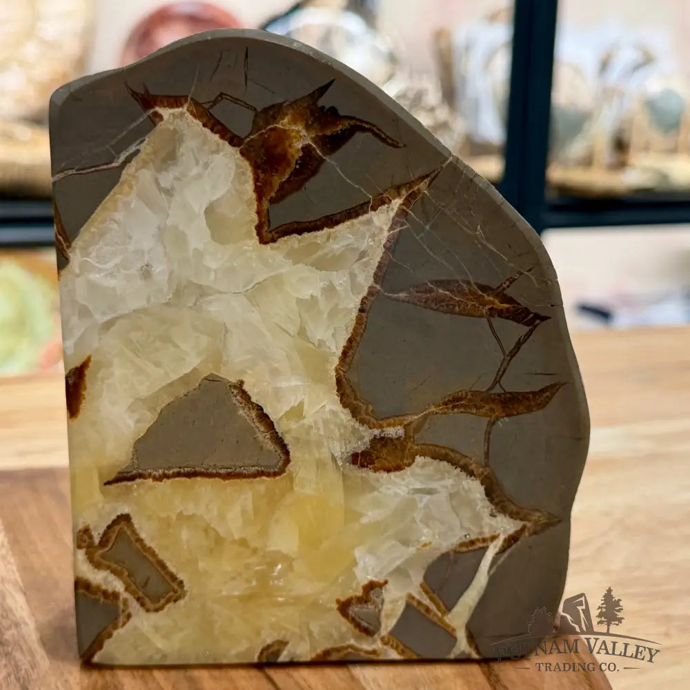 Utah Septarian Bookend Pair - Accent