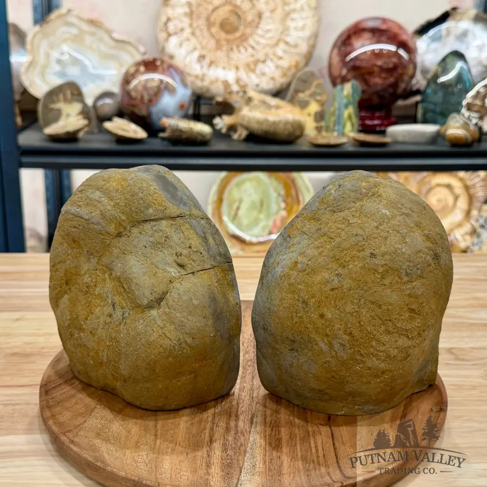 Utah Septarian Bookend Pair - Accent