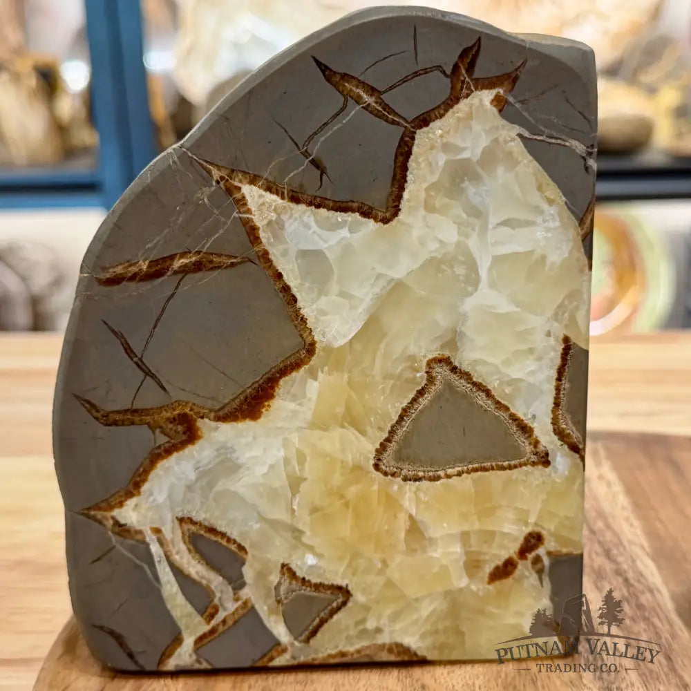 Utah Septarian Bookend Pair - Accent