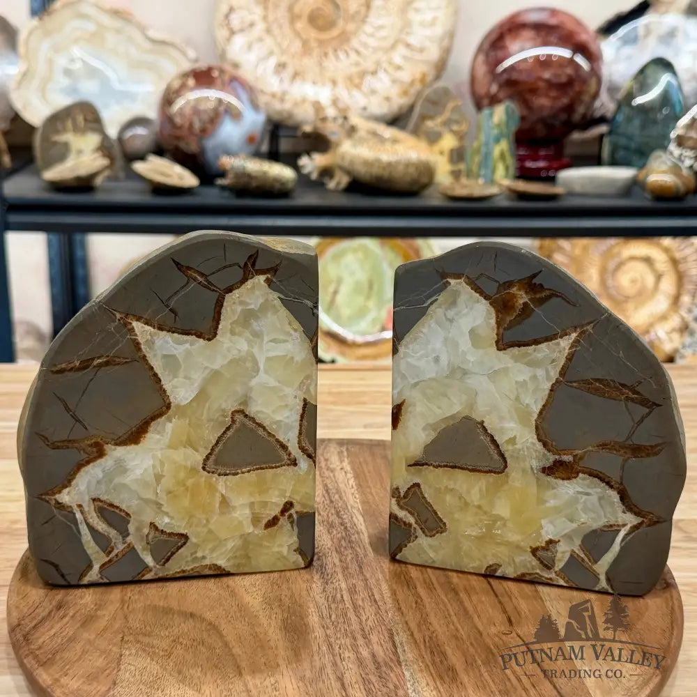 Utah Septarian Bookend Pair - Accent
