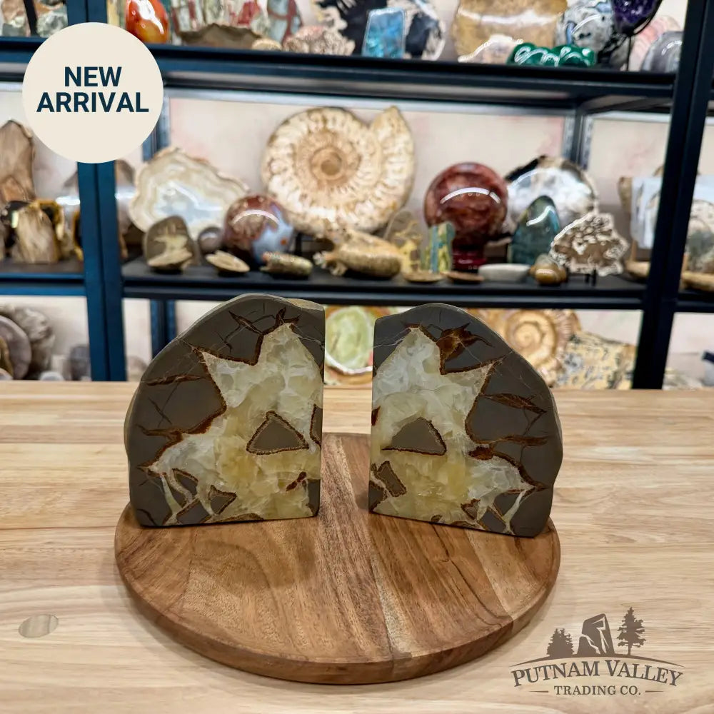 Utah Septarian Bookend Pair - Accent