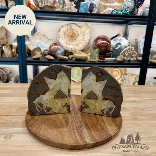 Utah Septarian Bookend Pair - Accent