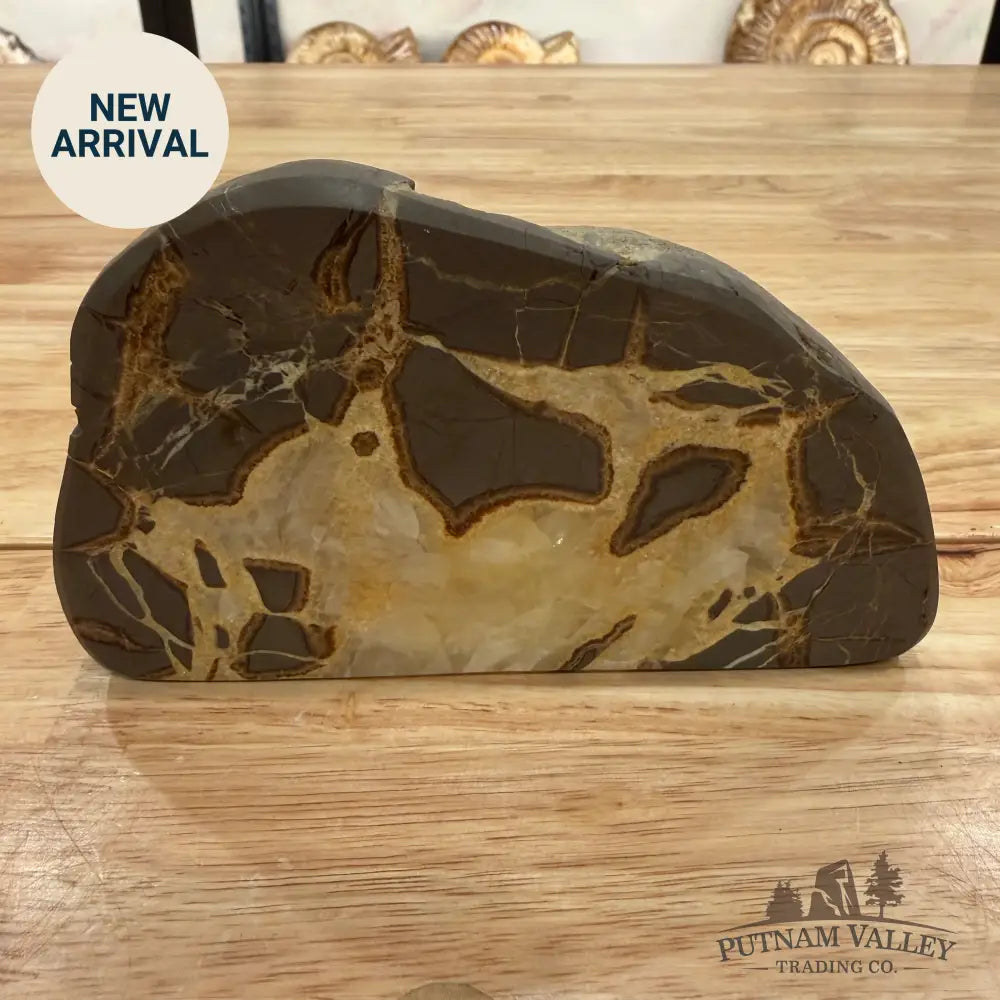 Utah Septarian Table Accent Accent