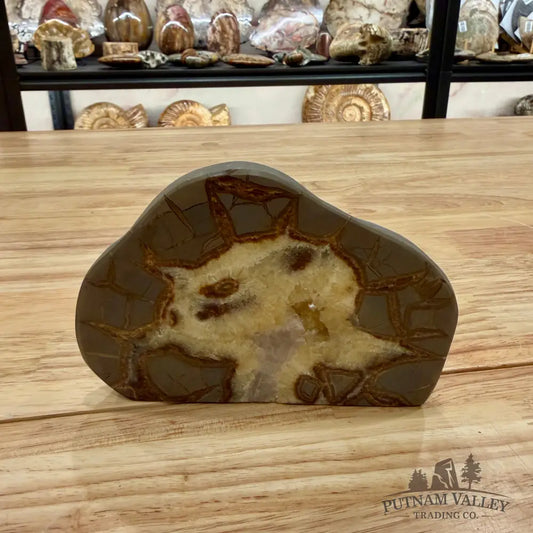 Utah Septarian Table Accent Accent