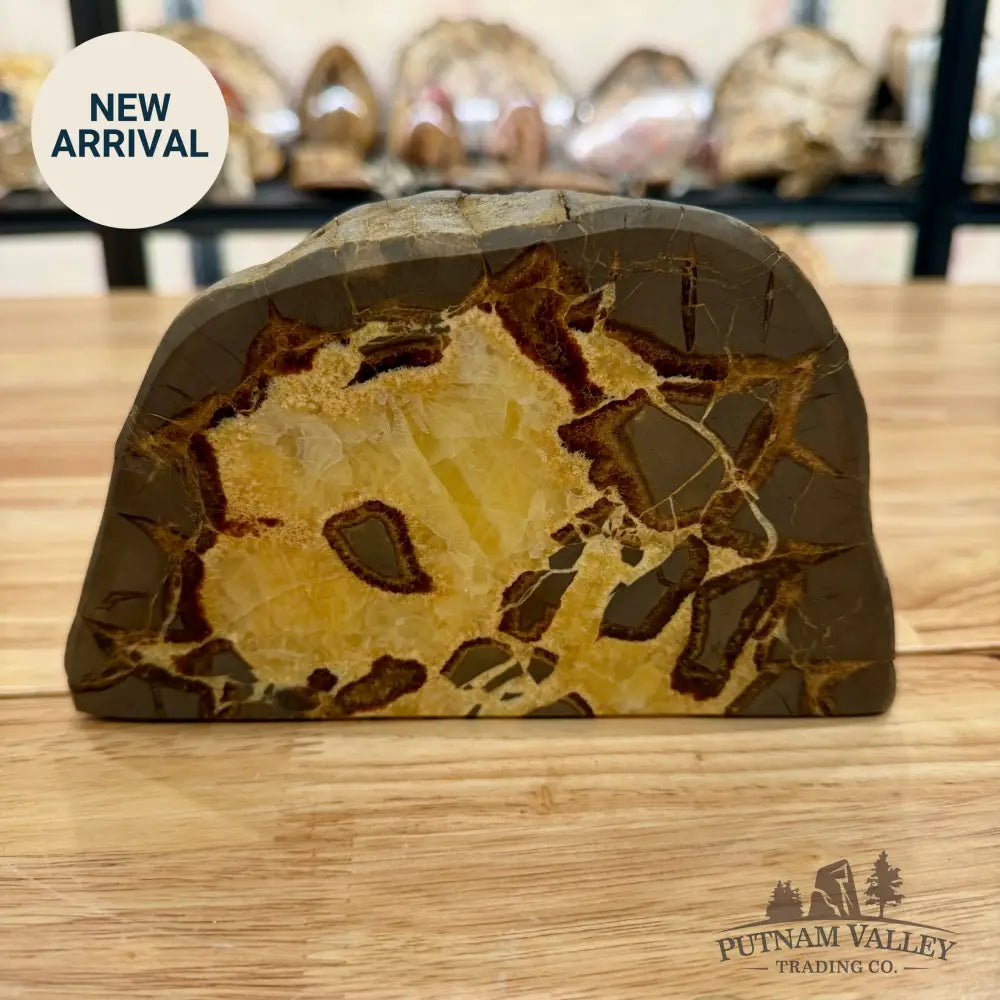 Utah Septarian Table Accent Accent
