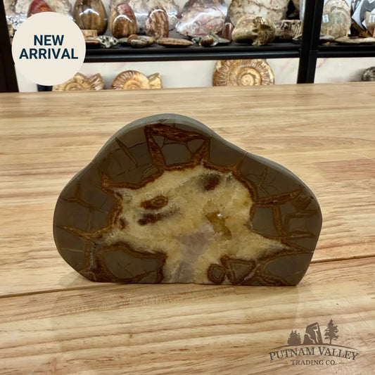 Utah Septarian Table Accent Accent