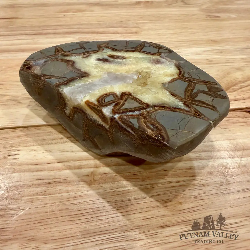 Utah Septarian Table Accent Accent