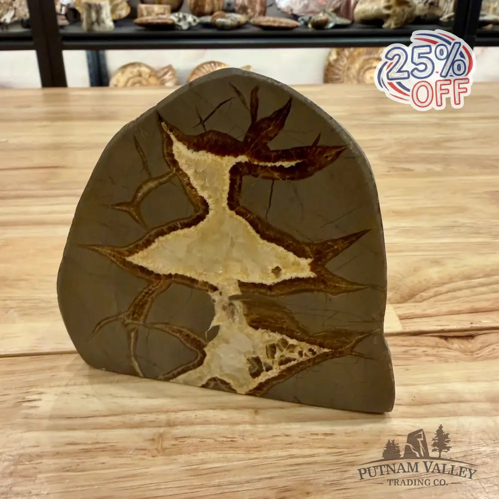 Utah Septarian Table Accent Accent