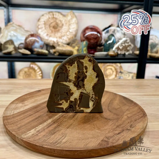Utah Septarian Table Accent 4.65’’ - Accent