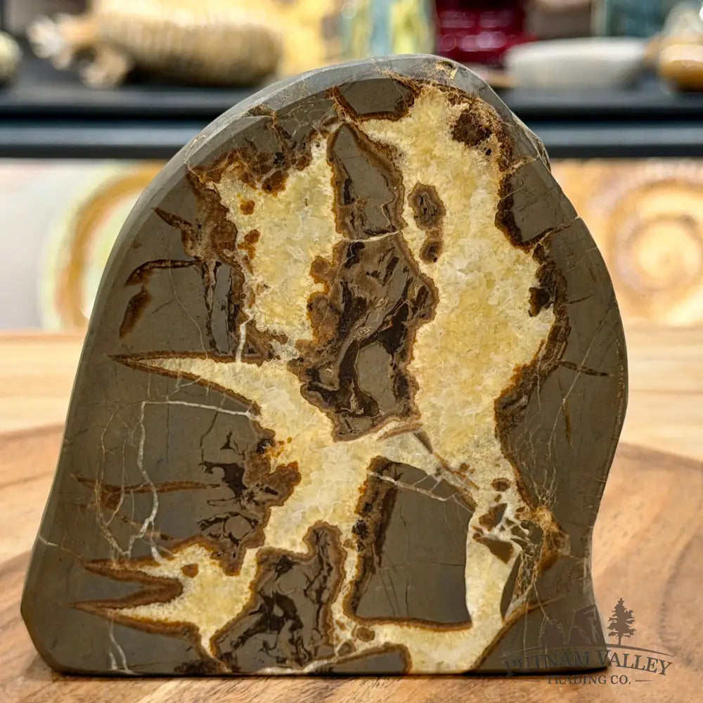 Utah Septarian Table Accent 4.65’’ - Accent