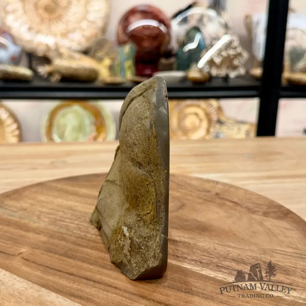 Utah Septarian Table Accent 4.65’’ - Accent