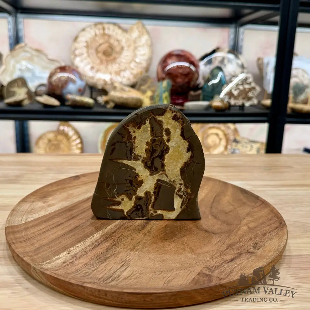 Utah Septarian Table Accent 4.65’’ - Accent
