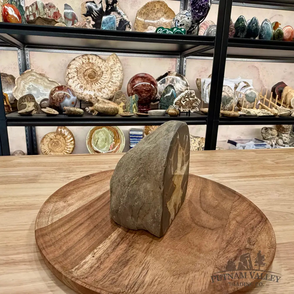 Utah Septarian Table Accent 4.72’’ - Accent