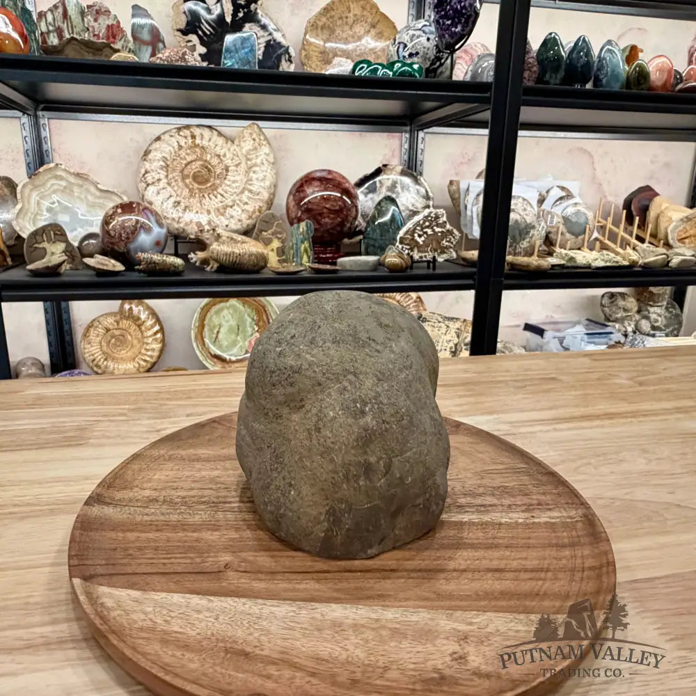 Utah Septarian Table Accent 4.72’’ - Accent