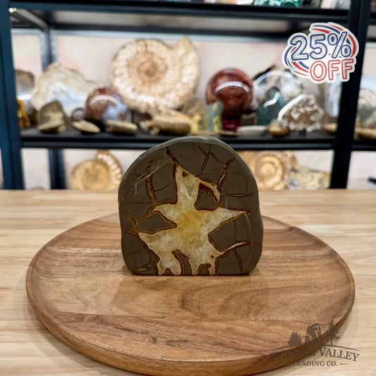 Utah Septarian Table Accent 4.72’’ - Accent