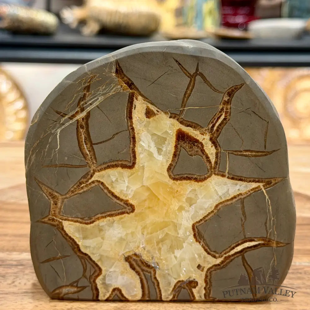 Utah Septarian Table Accent 4.72’’ - Accent