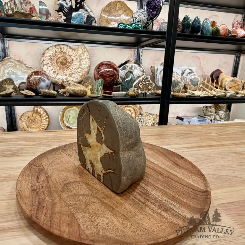 Utah Septarian Table Accent 4.72’’ - Accent