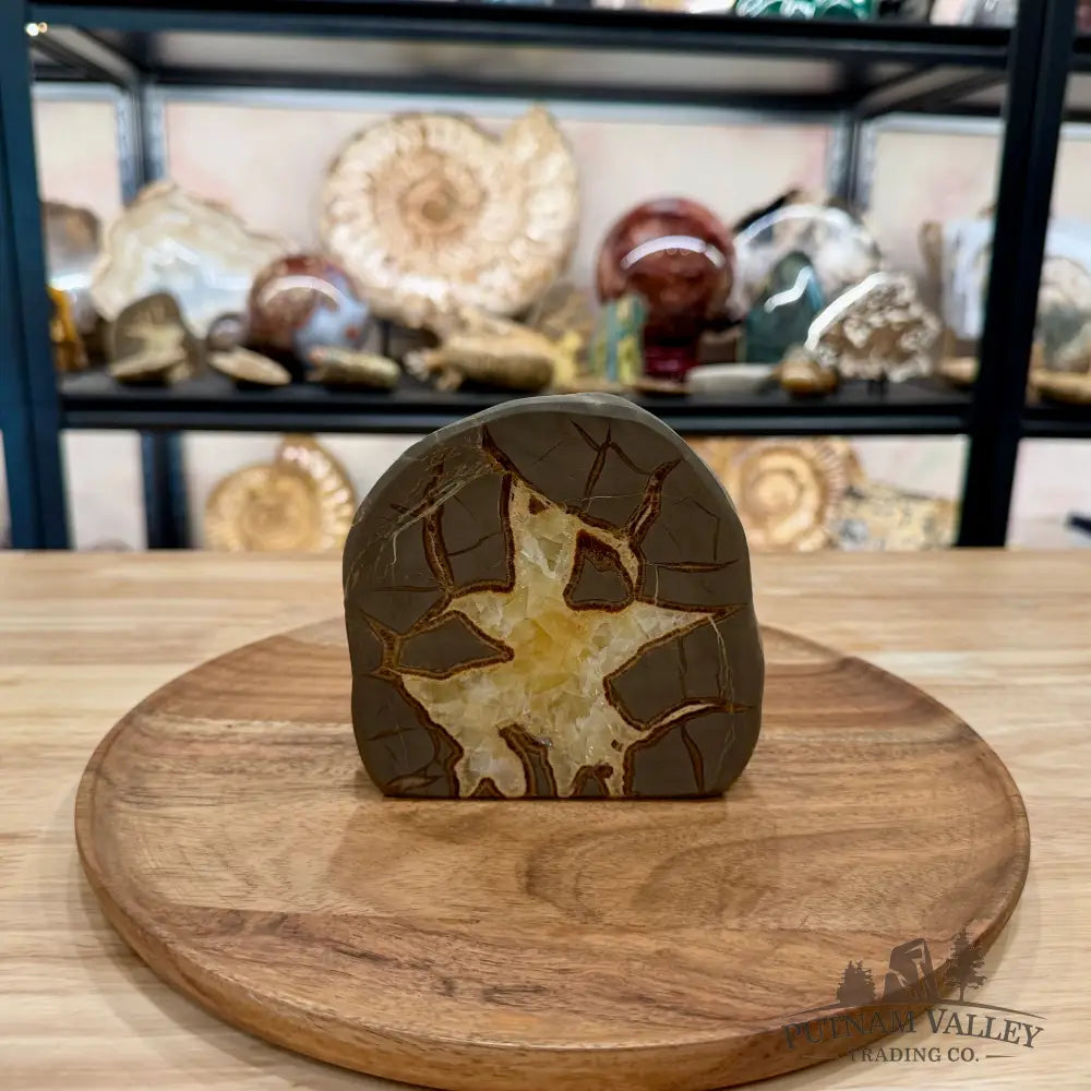 Utah Septarian Table Accent 4.72’’ - Accent