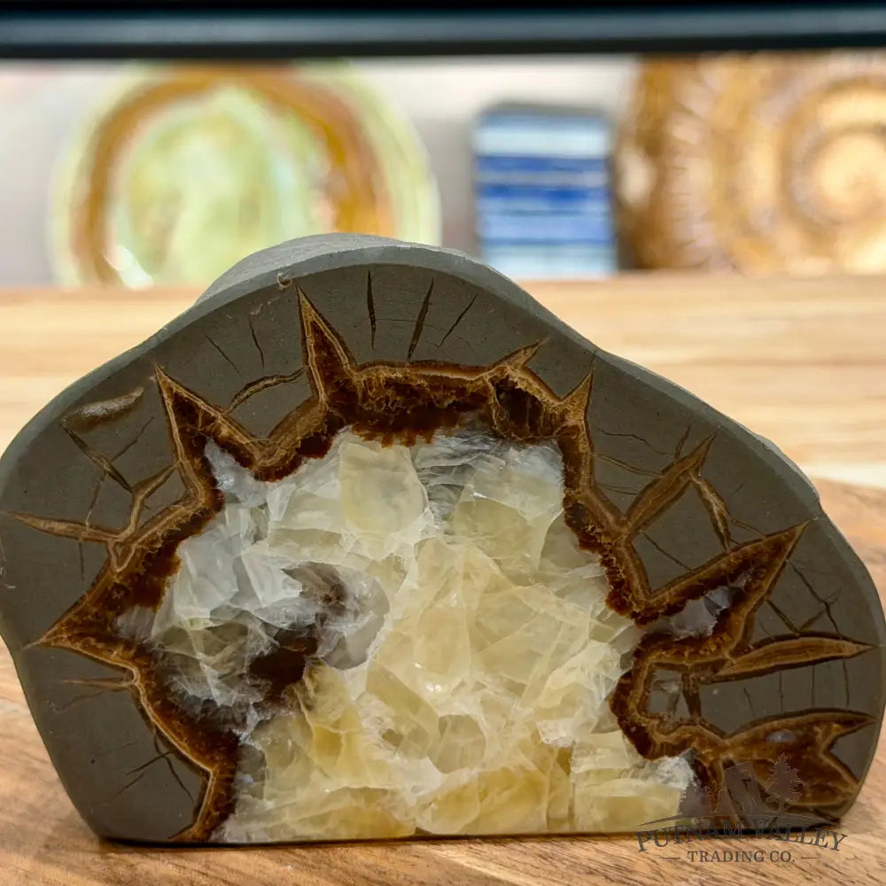 Utah Septarian Table Accent 4.75’’ - Accent