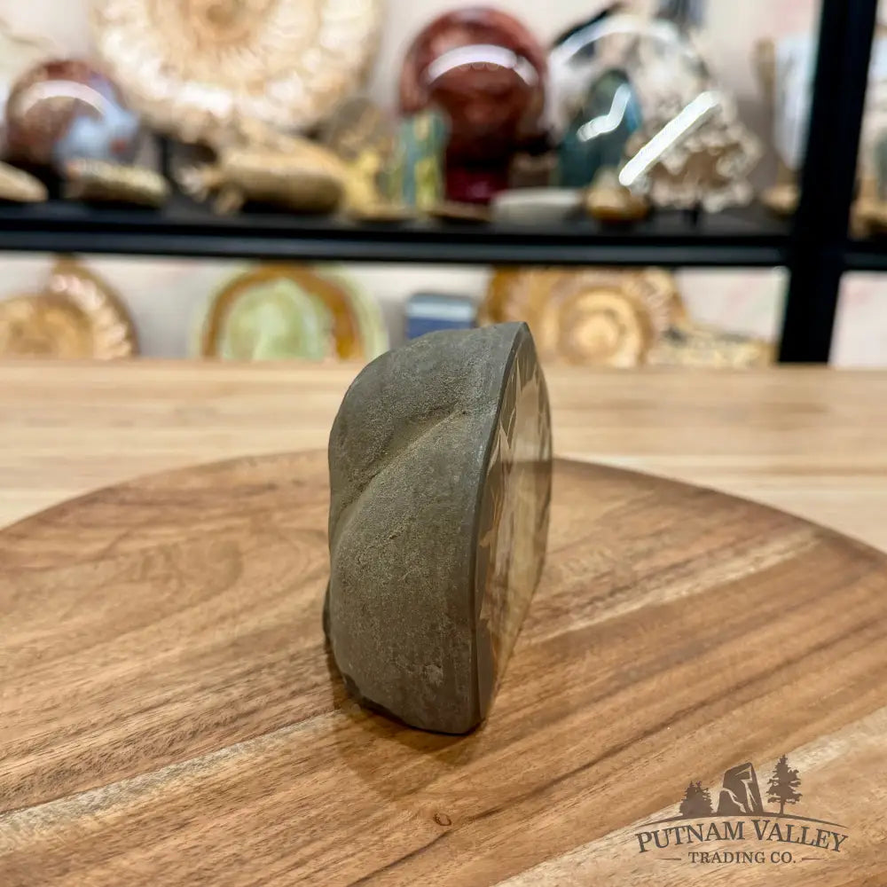 Utah Septarian Table Accent 4.75’’ - Accent