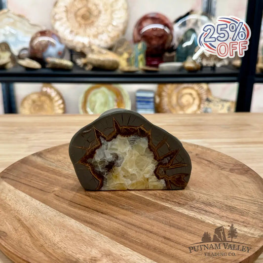 Utah Septarian Table Accent 4.75’’ - Accent