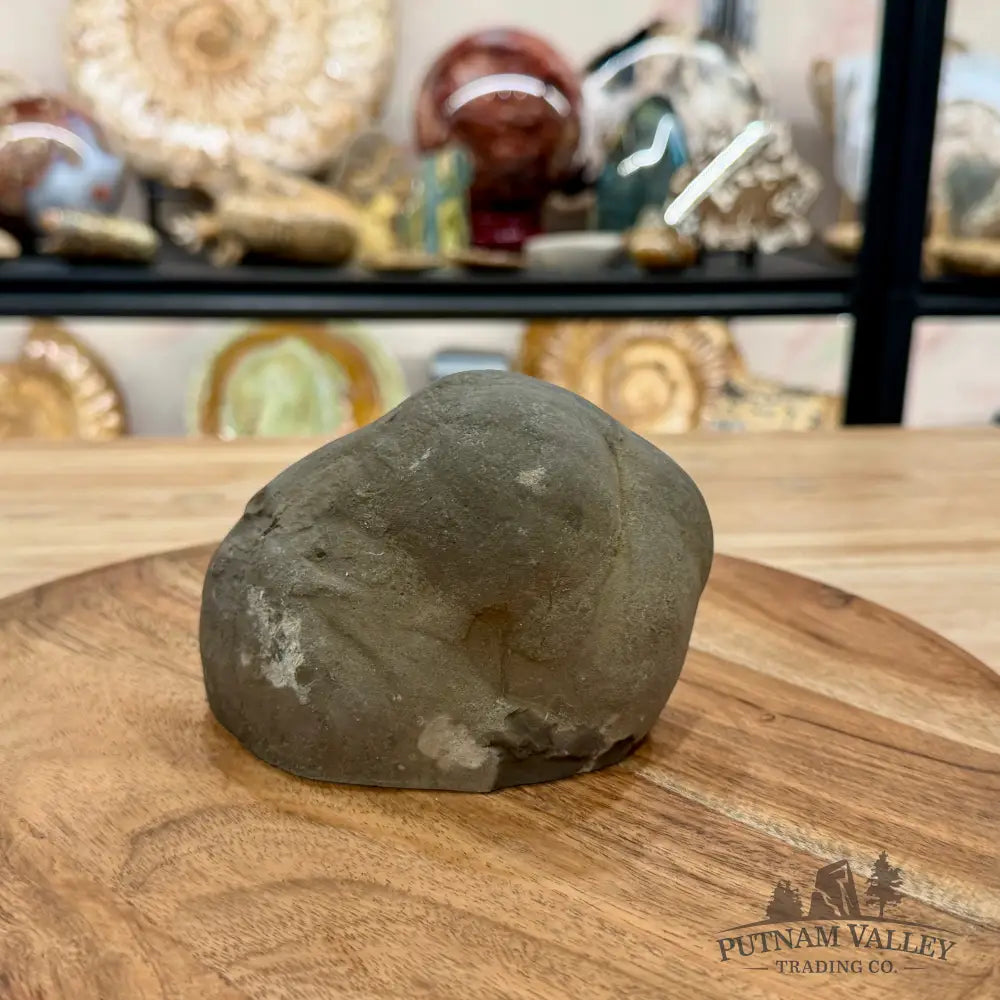 Utah Septarian Table Accent 4.75’’ - Accent