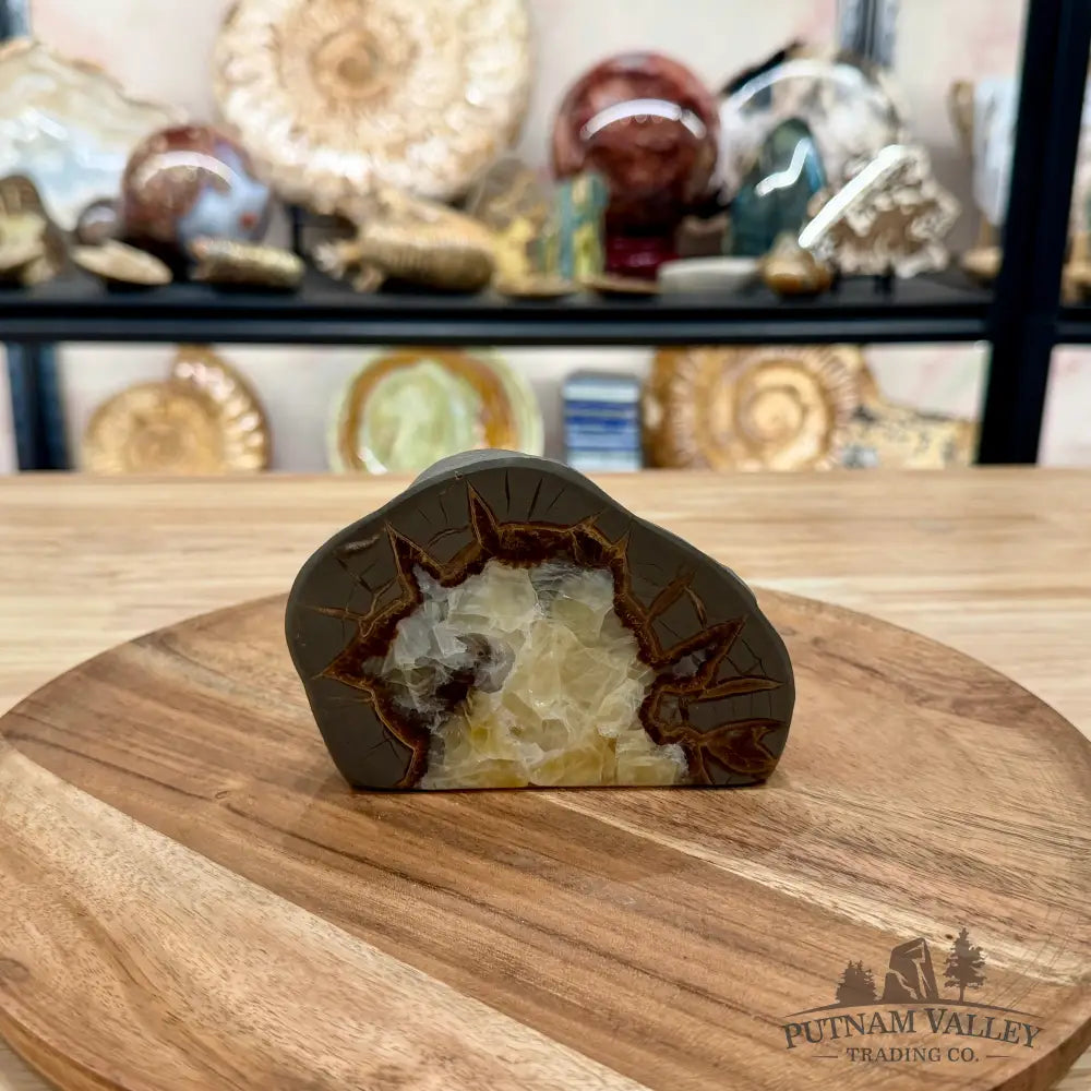 Utah Septarian Table Accent 4.75’’ - Accent