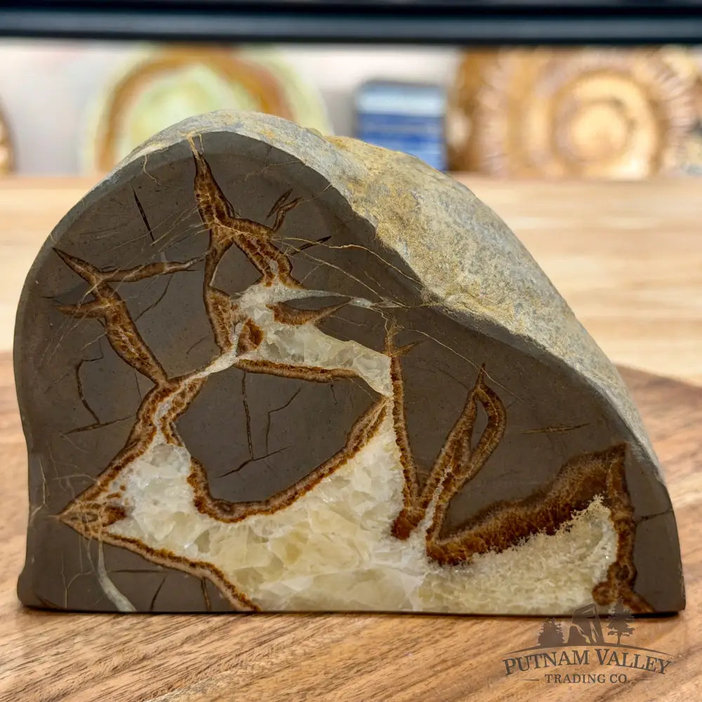 Utah Septarian Table Accent 4.92’’ - Accent