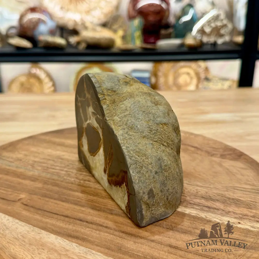 Utah Septarian Table Accent 4.92’’ - Accent