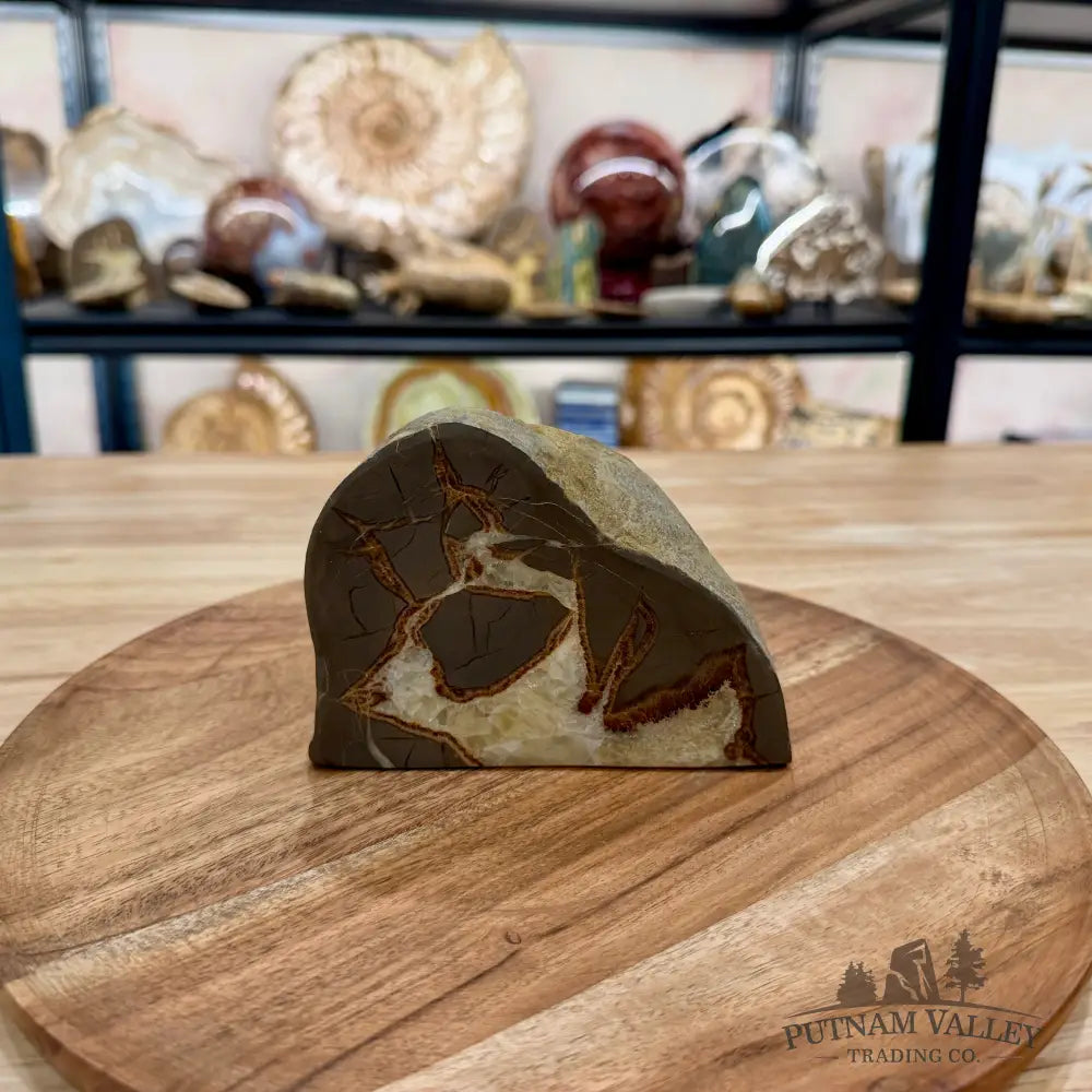 Utah Septarian Table Accent 4.92’’ - Accent