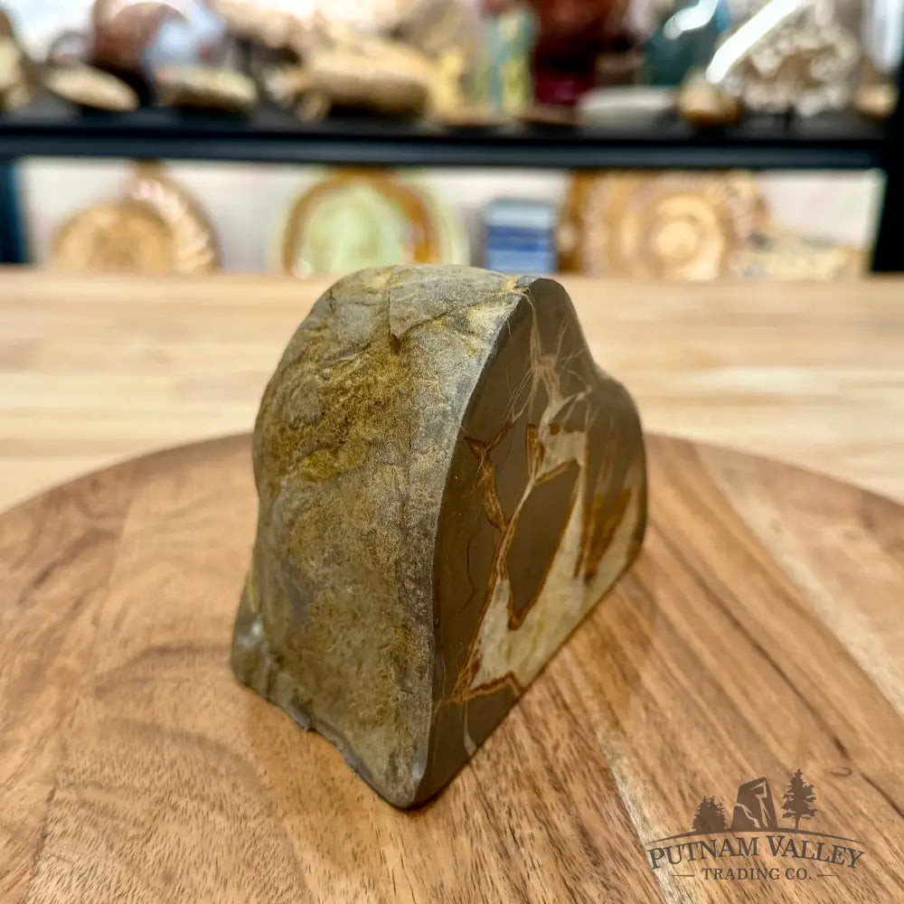 Utah Septarian Table Accent 4.92’’ - Accent