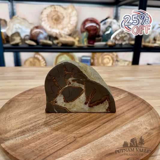 Utah Septarian Table Accent 4.92’’ - Accent
