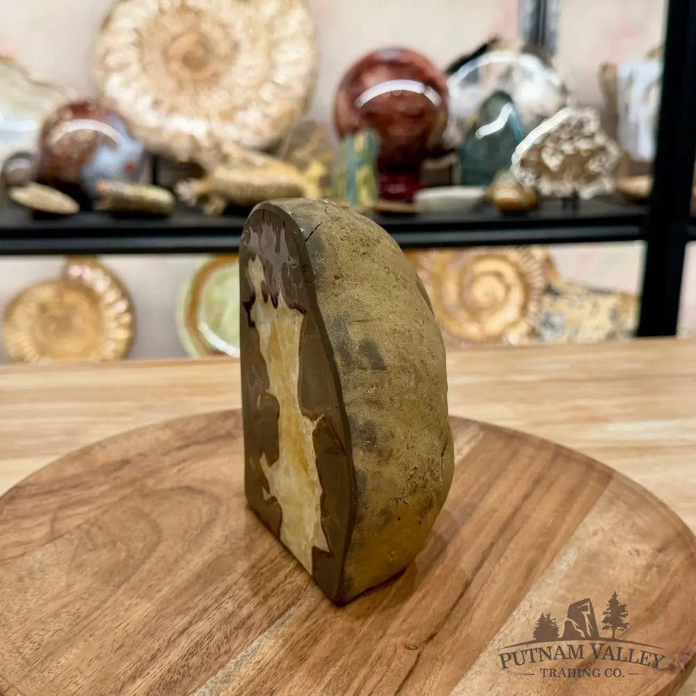 Utah Septarian Table Accent 5.18’’ - Accent