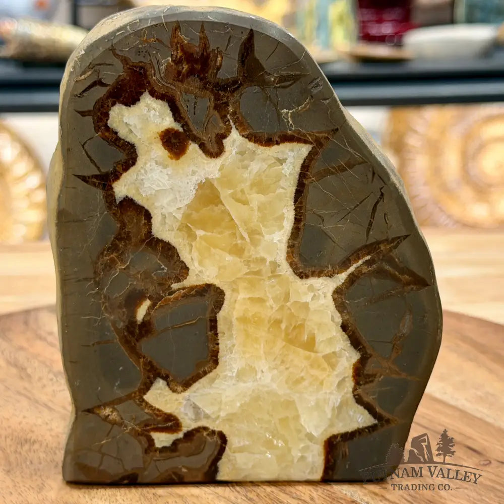 Utah Septarian Table Accent 5.18’’ - Accent
